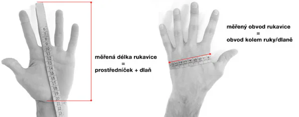 Velikost ruky