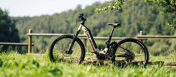 Pánská městská elektrokola