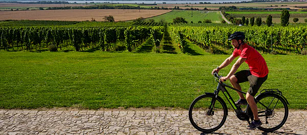 Pánská treková elektrokola