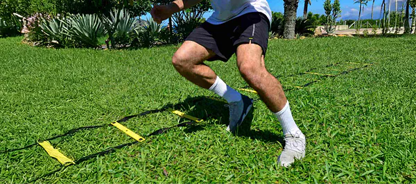 Koordinační (agility) žebřík