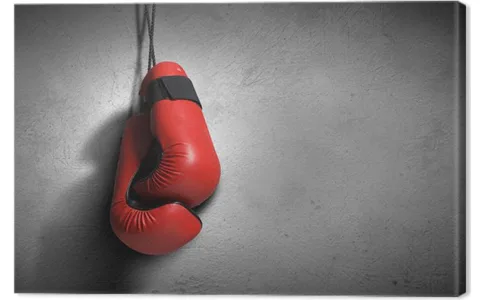 Ako vybrať boxerské rukavice - výber   a údržba