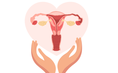 Menstruační cyklus - základní popis