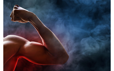 Nabírání svalů - Základy, které fungují