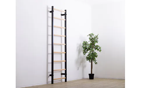 Ako vybrať ribstole, rebriny