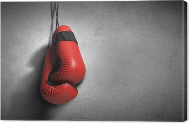 Ako vybrať boxerské rukavice - výber   a údržba