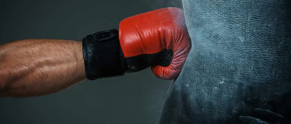 Ako vybrať boxovacie vrece