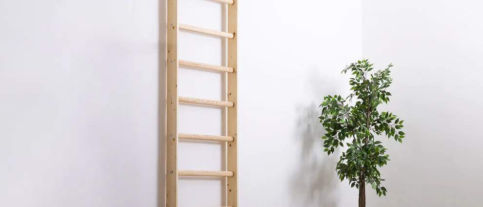 Ribstole - cvičenie