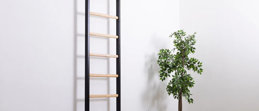 Ako vybrať ribstole, rebriny