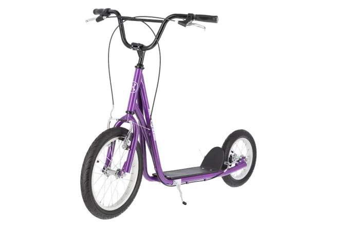 Kolobežka NILS EXTREME WH-119 fialová