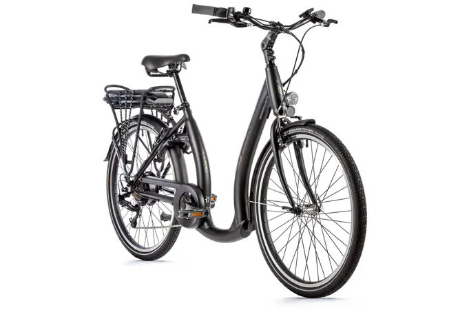 LEADER FOX HOLAND-1 17" /26"/ černá 2022