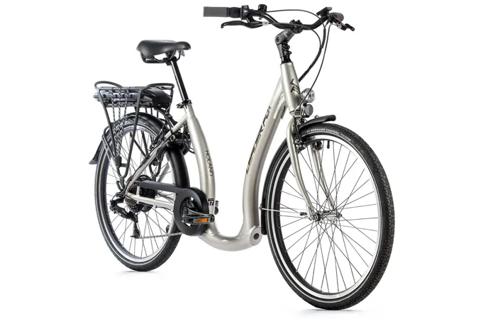 LEADER FOX HOLAND-2 17" /26"/ stříbrná 2022