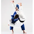 Obrázok Tatami na Judo / BJJ / Grappling